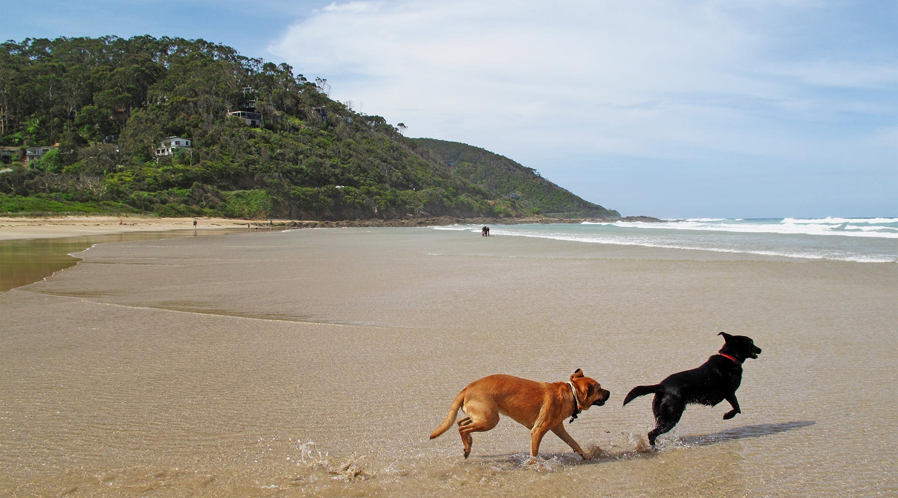 Great Ocean Road Pet Friendly Accommodation Southern Victoria